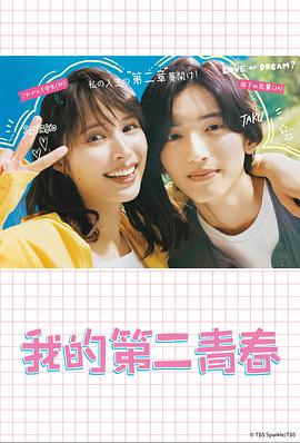 正规网站建设与优化方案